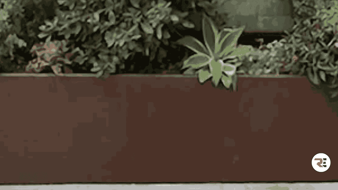 Corten Steel Planter Boxes: 3 Things You Should Know About