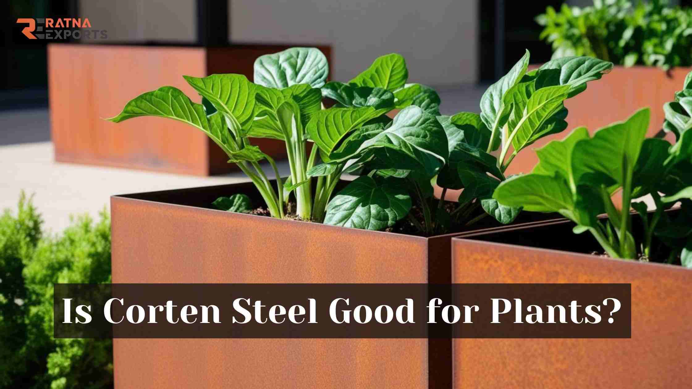 Is Corten Steel good for plants
